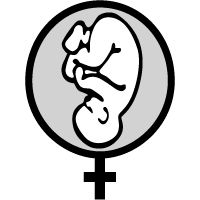 Norsk gynekologisk forening