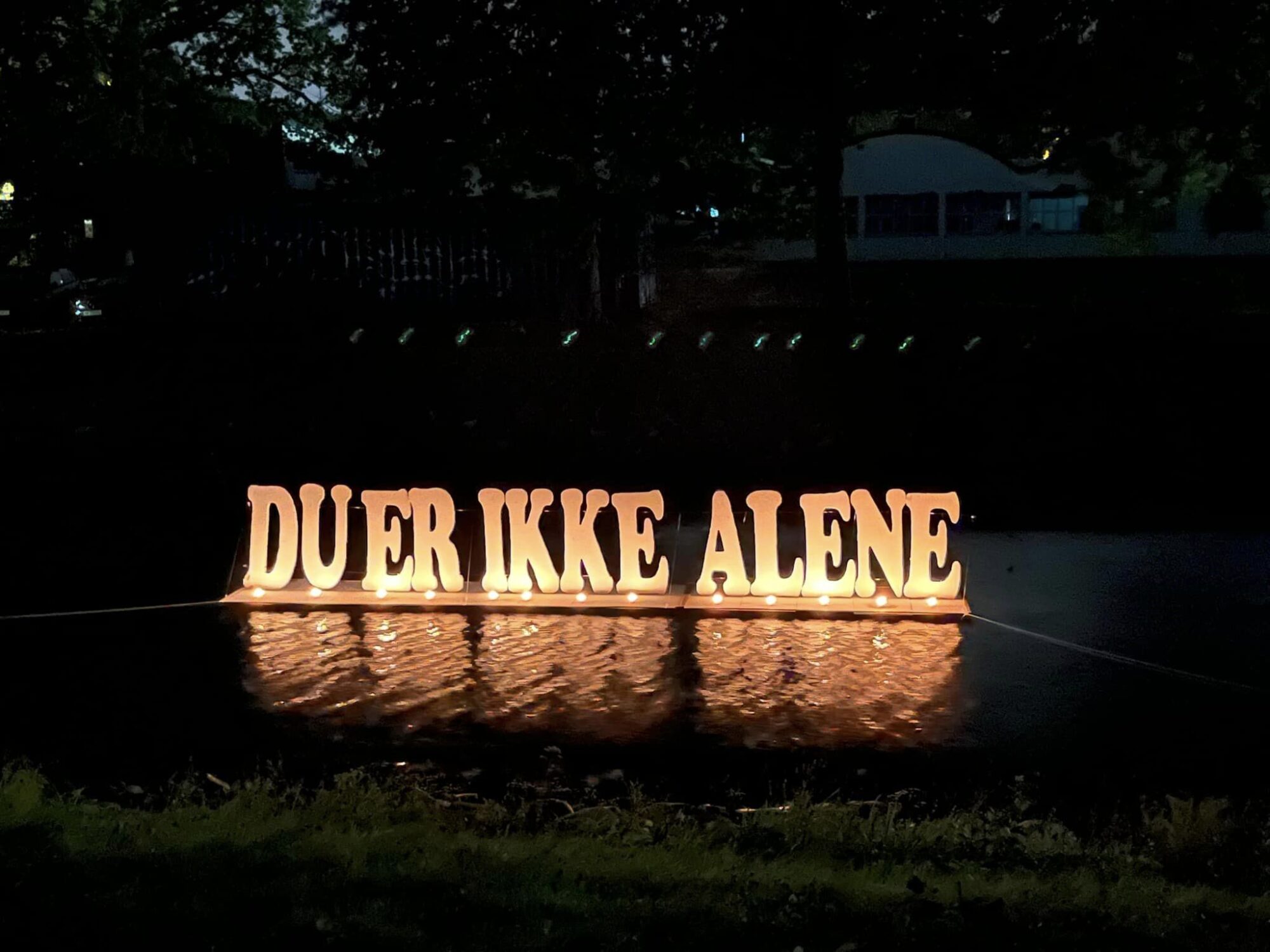 Vestfold fylkeslag | LEVE