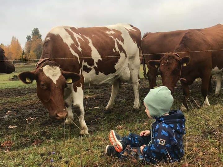 Livensveen Gårdsbarnehage