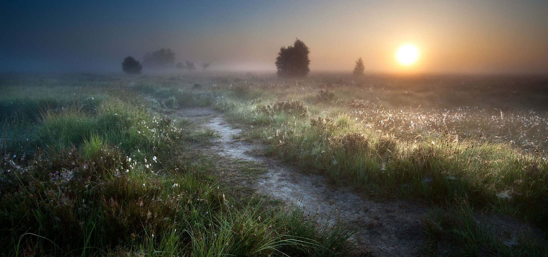 Aktiv dødshjelp - Vi jobber for legalisering av aktiv dødshjelp i Norge