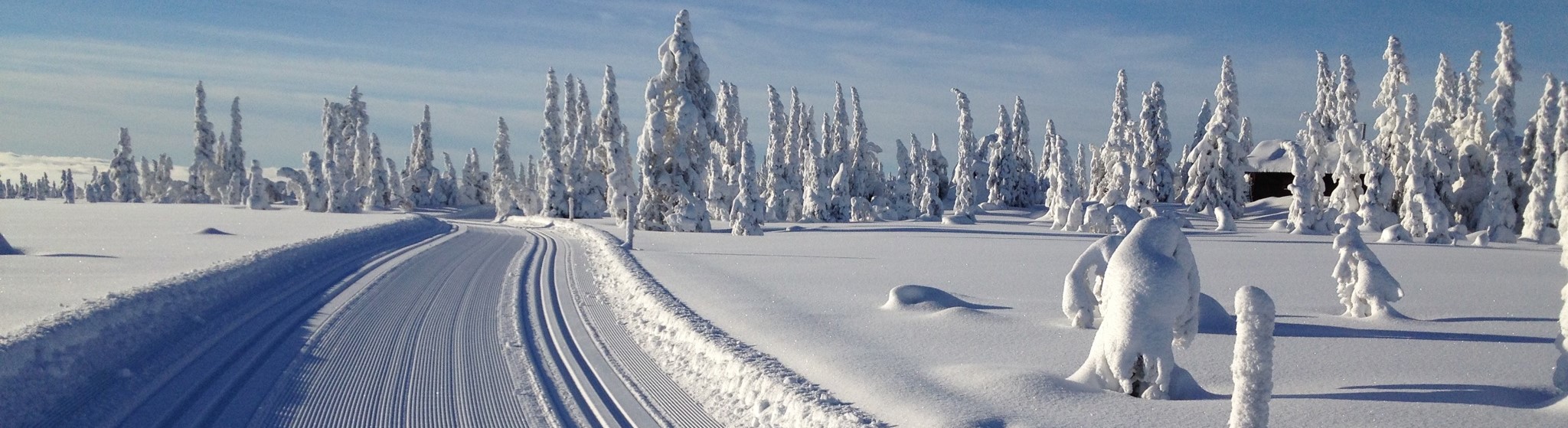 ljosheimogomegnvel.no