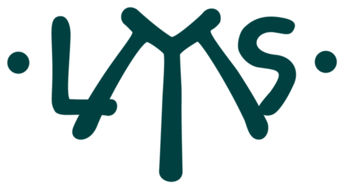 Leonardo Michelin-Salomon - Luthier