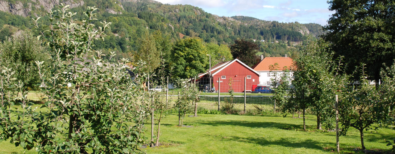 Lund Bygdemuseum og Kulturbank