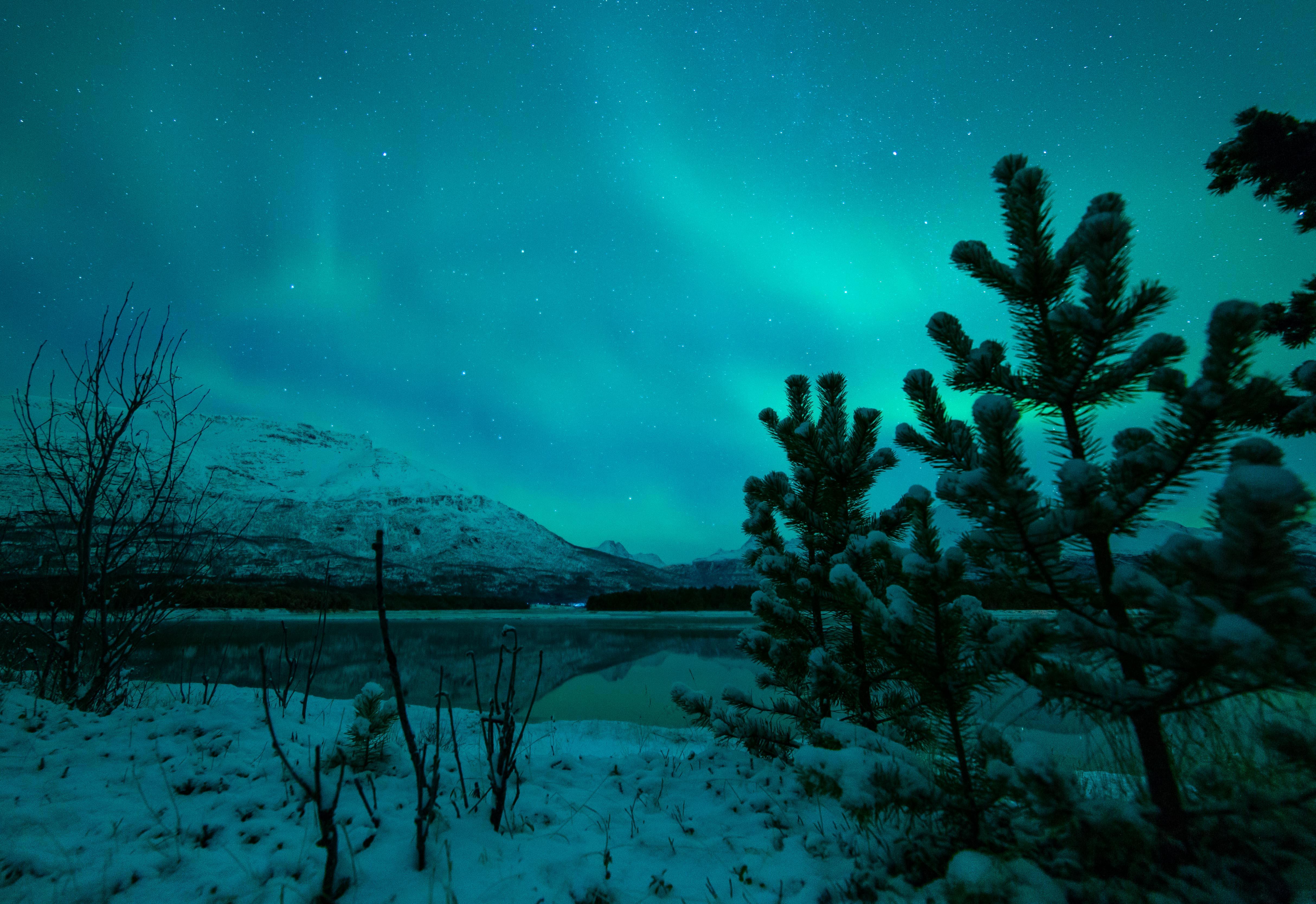 Lyngsfjord Adventure