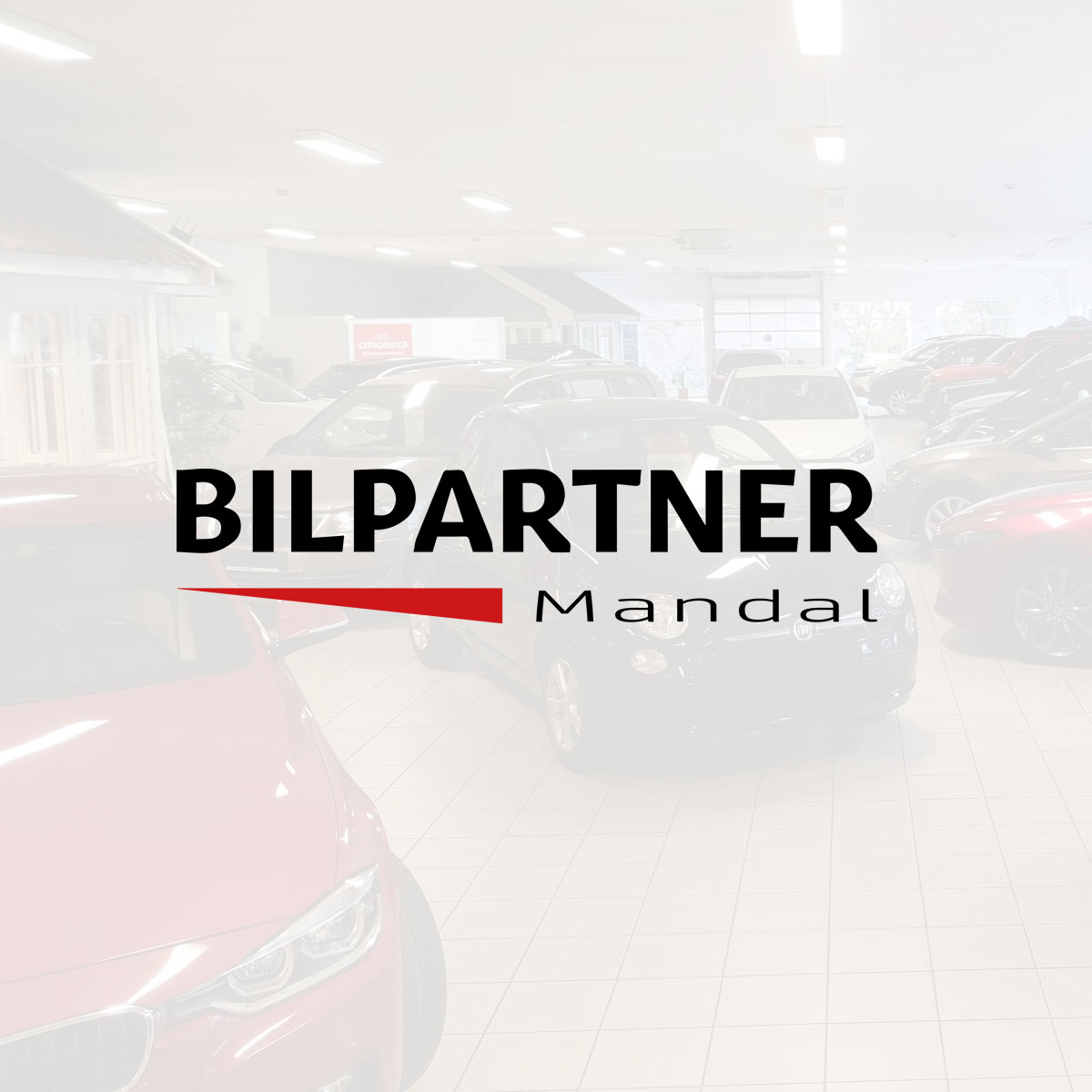 Bilpartner Mandal