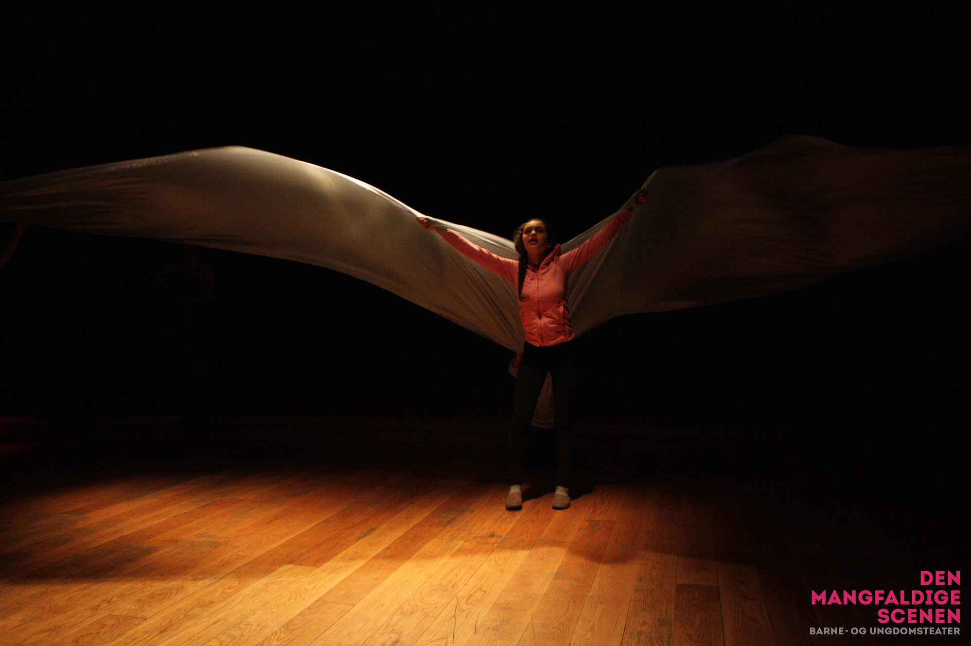 Barne- og ungdomsteater og kurs i Oslo | Den Mangfaldige Scenen