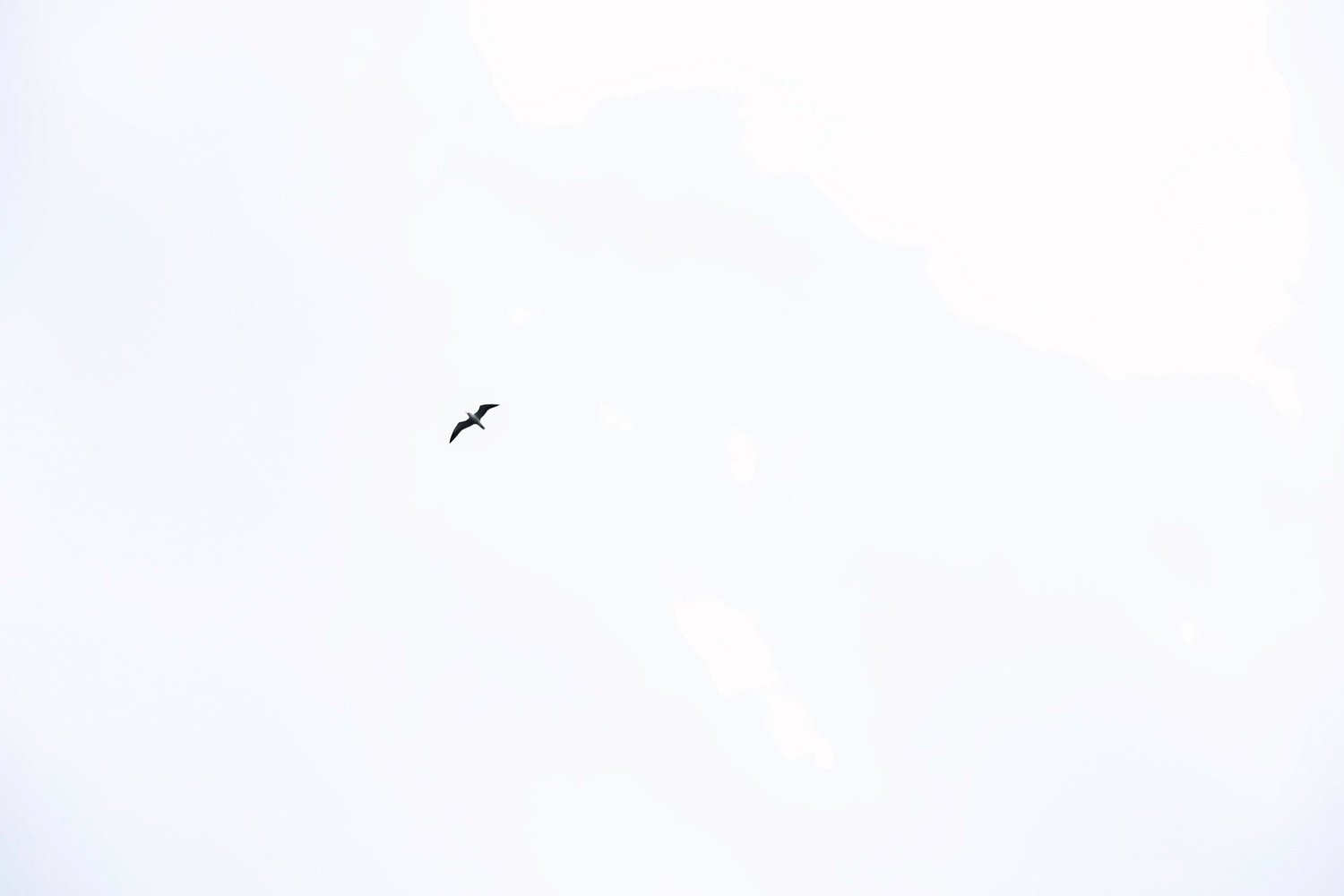 Klassisk og tidløs portrettfotograf med studio i Oslo sentrum. Vi tilbyr portrettfotografering som nyfødtfotografering, 1-årsfoto, gravidfoto, familiefotografering og bedriftsfotografering.