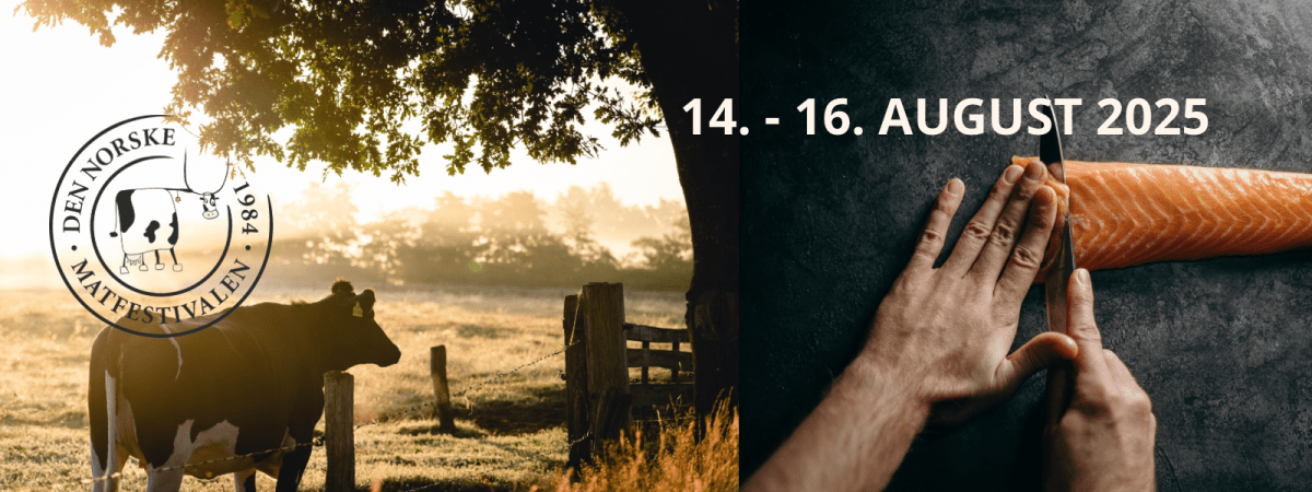 Matfestivalen i Ålesund