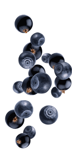 Medox - Norsk kosttilskudd med det beste fra blåbær og solbær