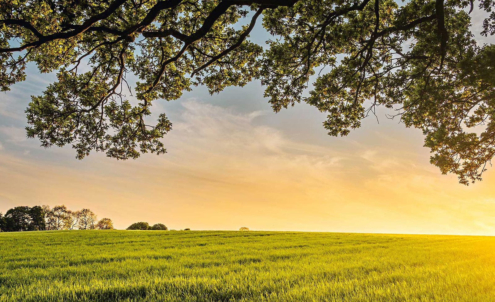 Mestring og vekst - Psykologtjenester for barn, ungdom og voksne