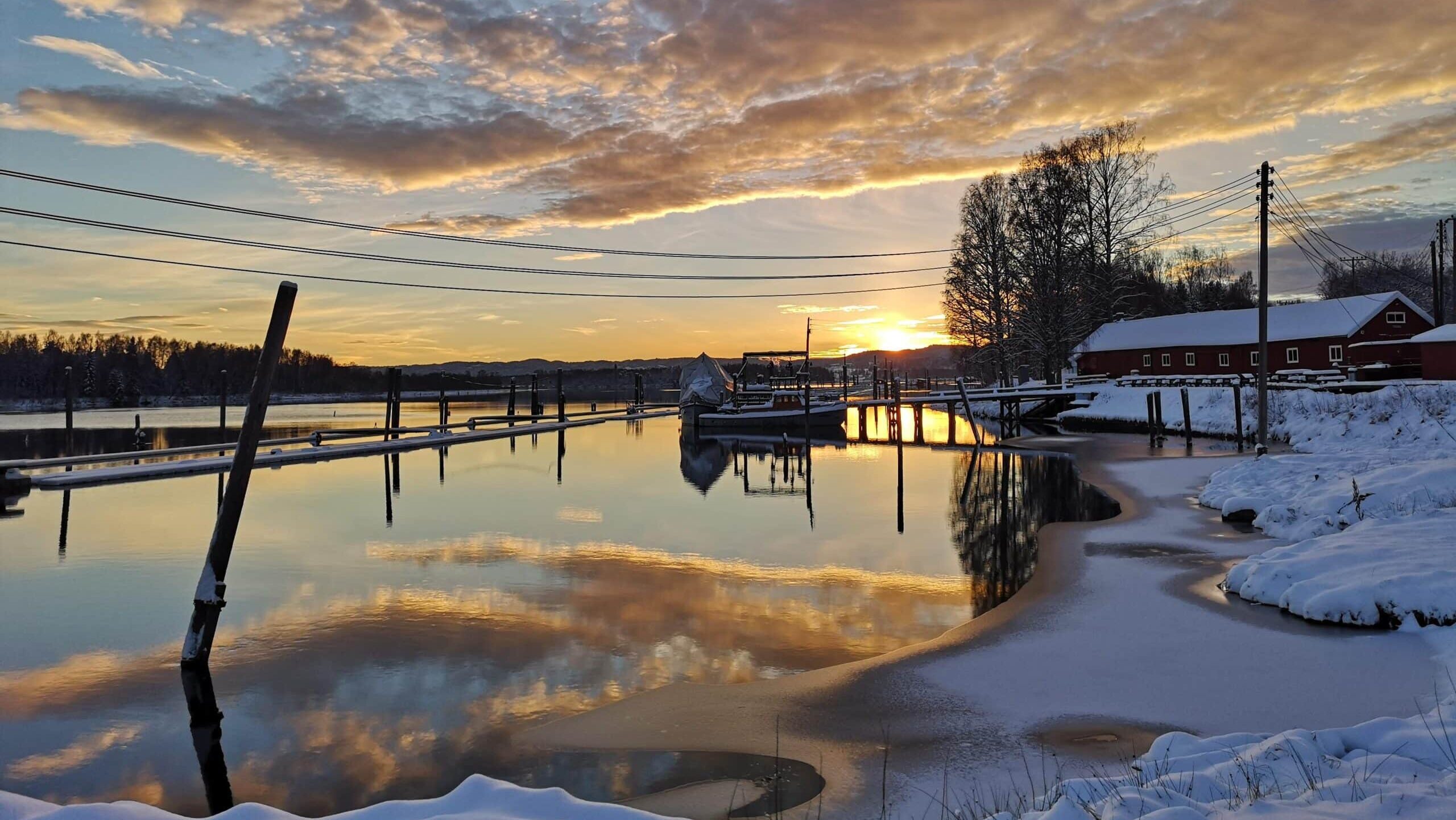 Romerike MS-forening