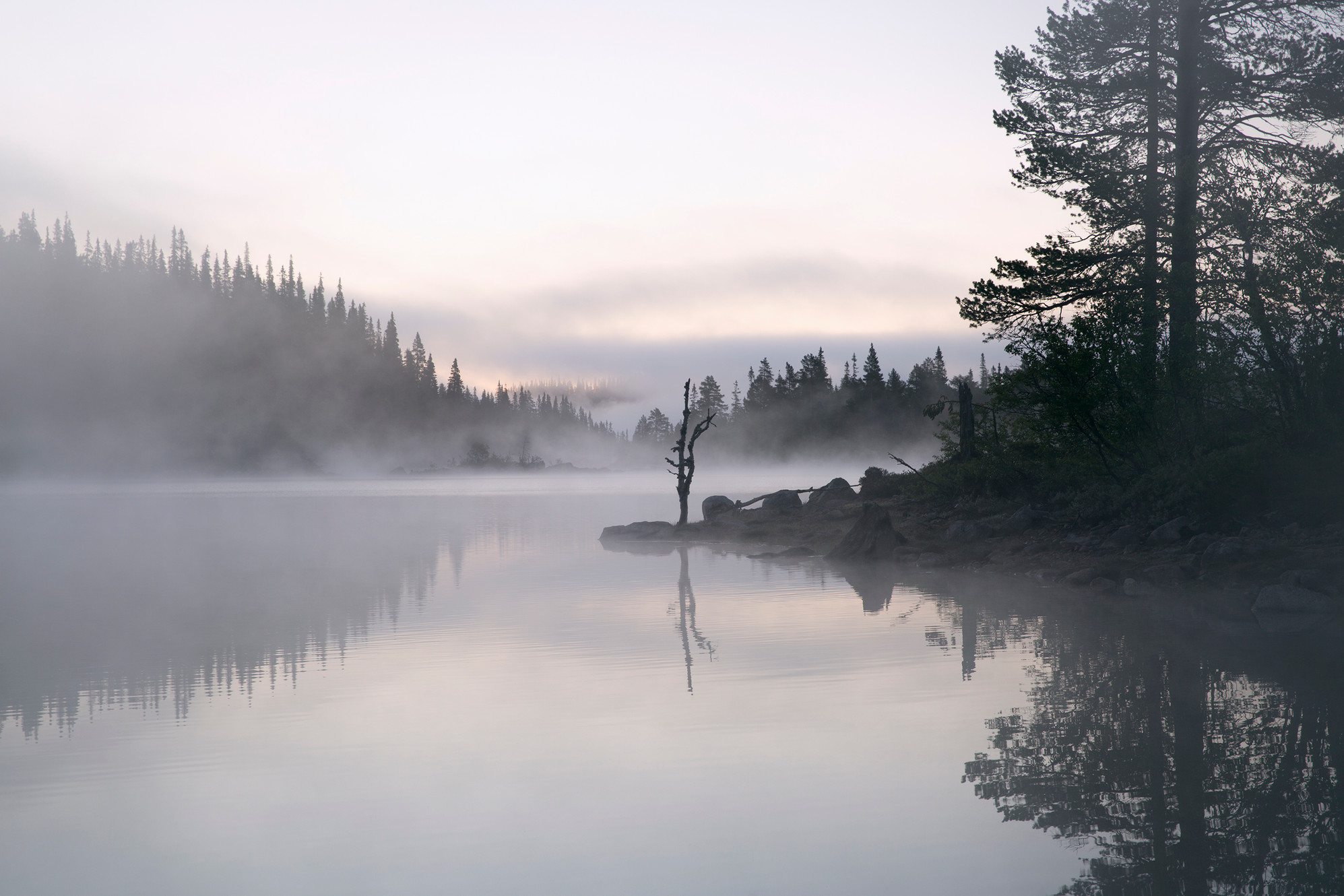Nanna Wessel Sundt, Photography, oslo, fotograf, portrett, kunst foto