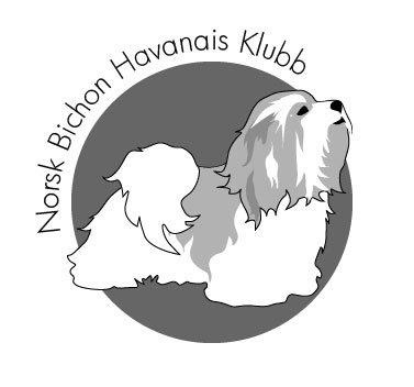 Norsk Bichon Havanais Klubb