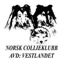 NCK Vestlandet