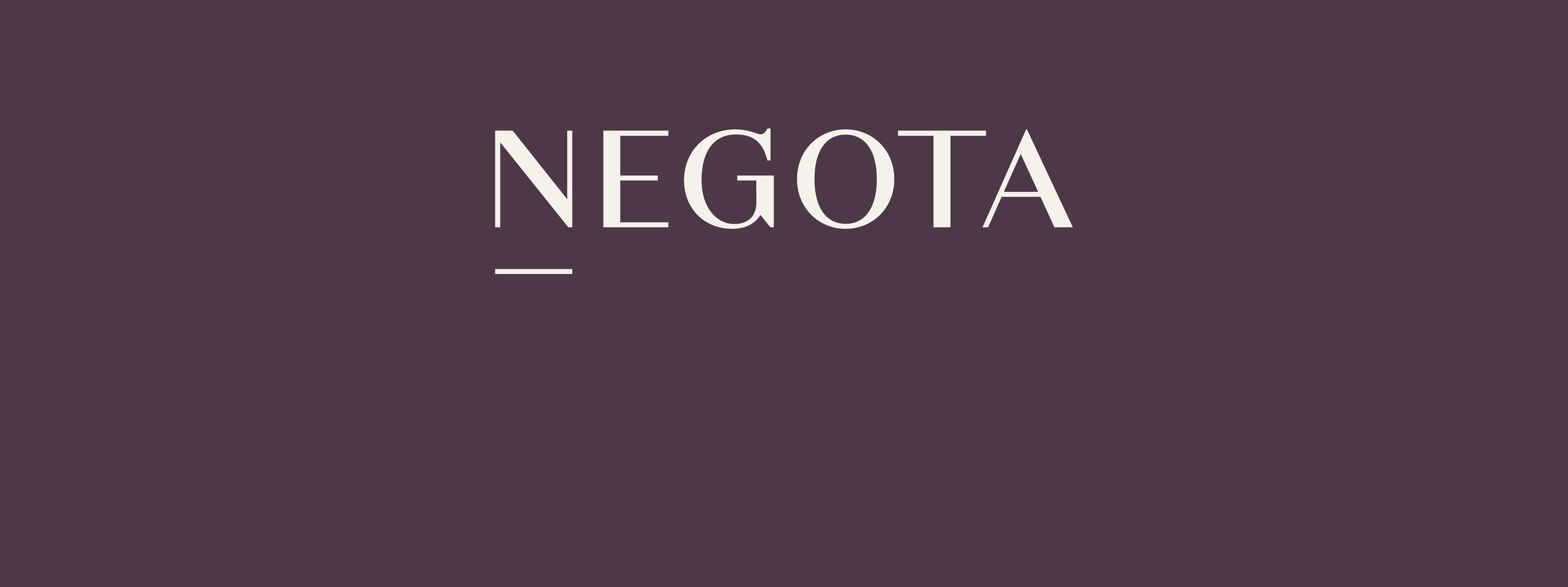 Welcome | Negota AS