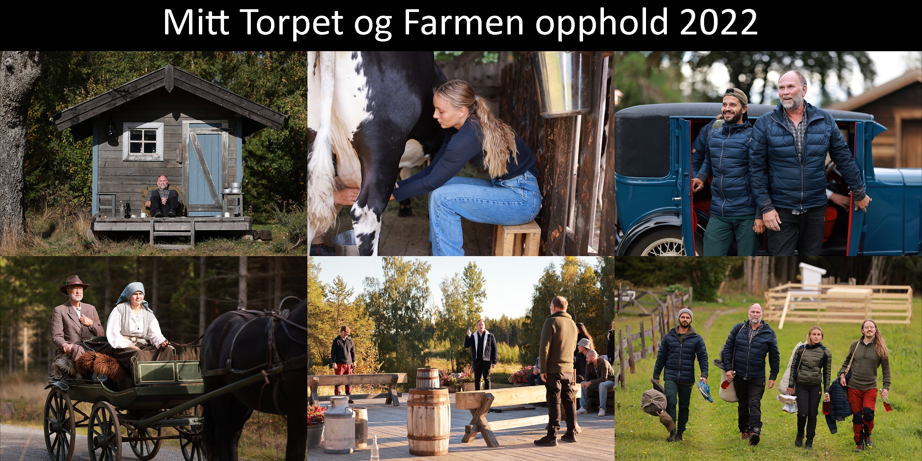 Tore Haraldset Photography