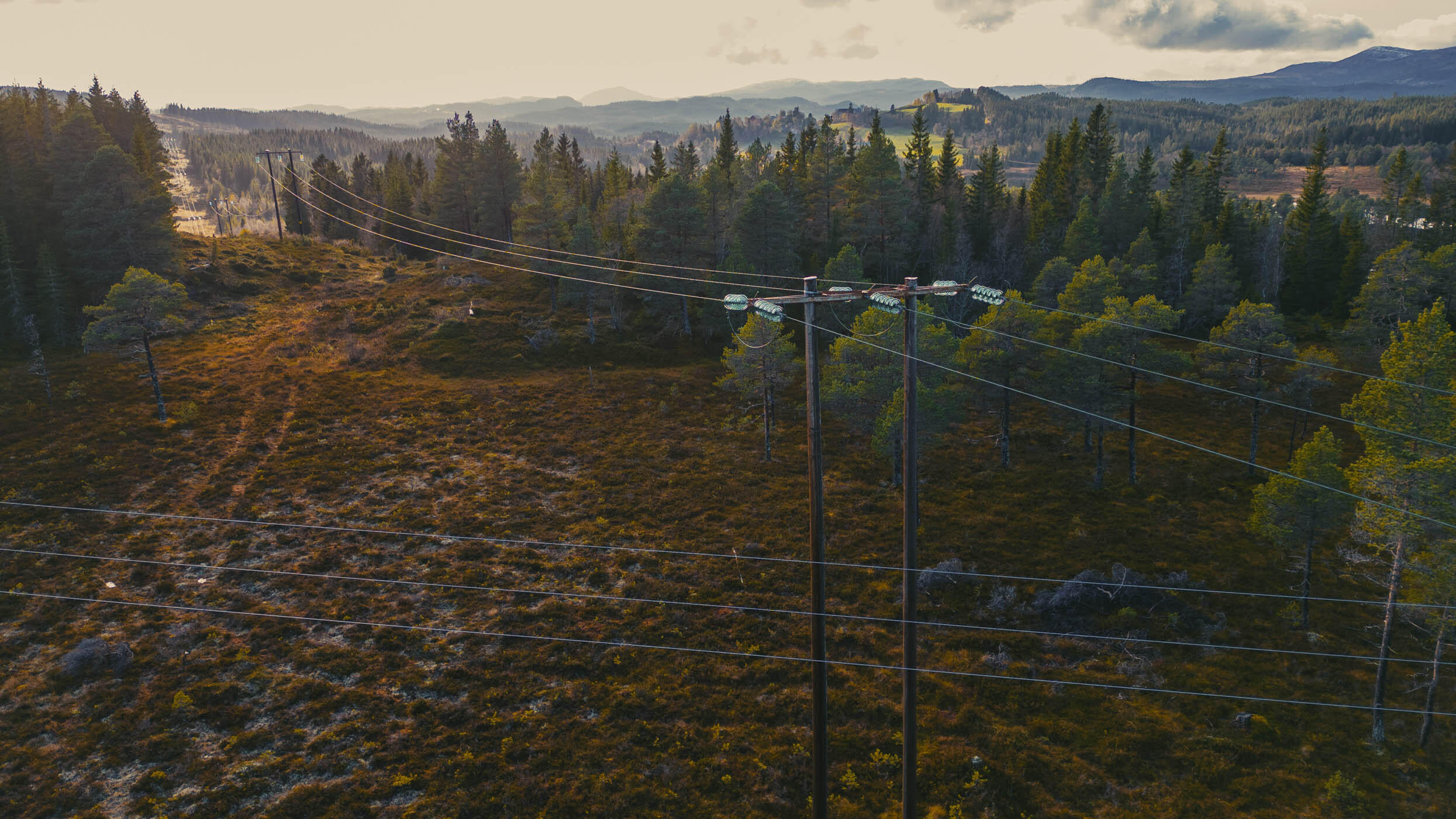 Velkommen til Nettselskapet