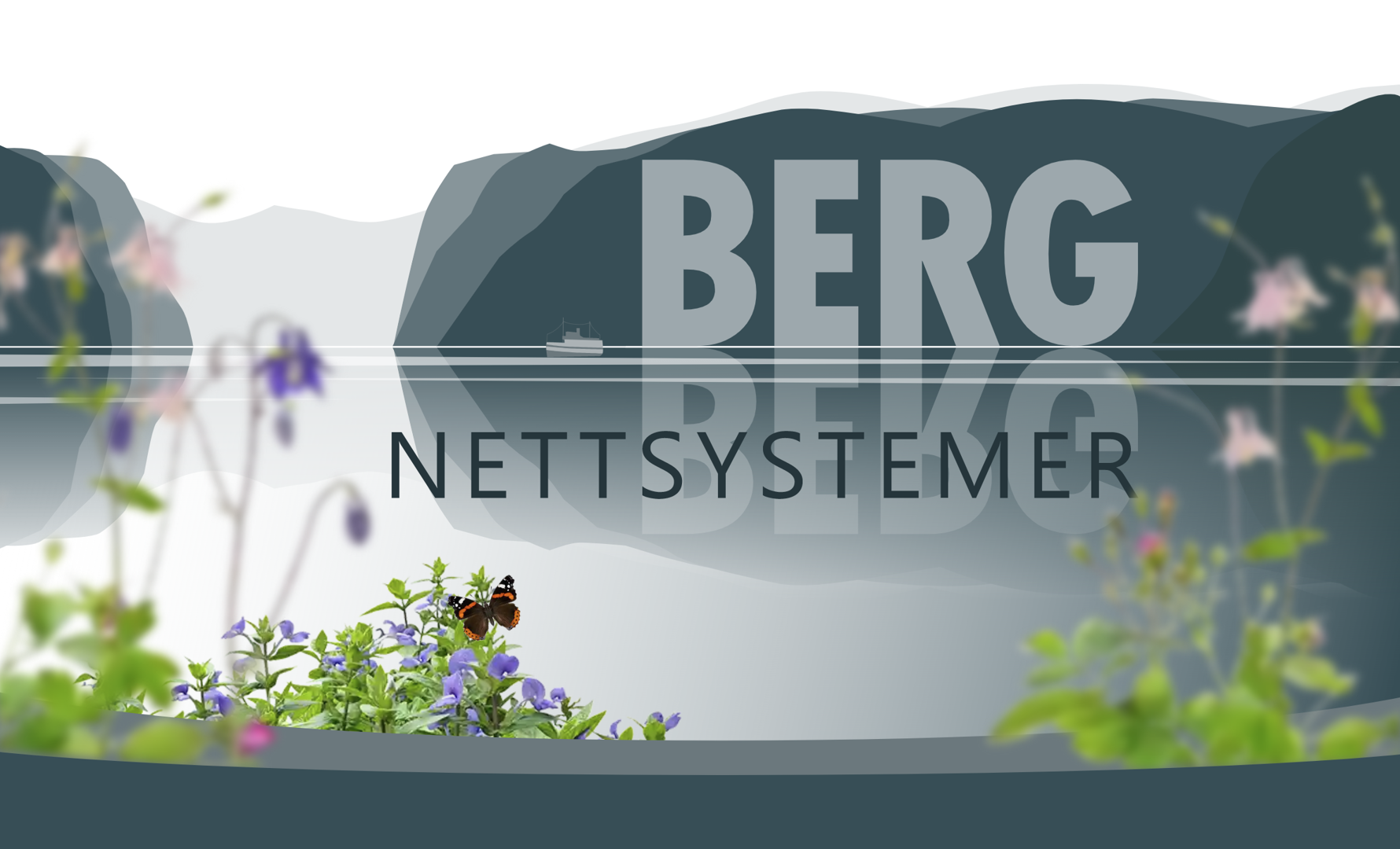 Berg Nettsystemer