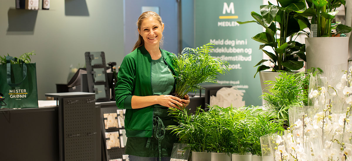 Send vakre blomster levert på døren - Mester Grønn