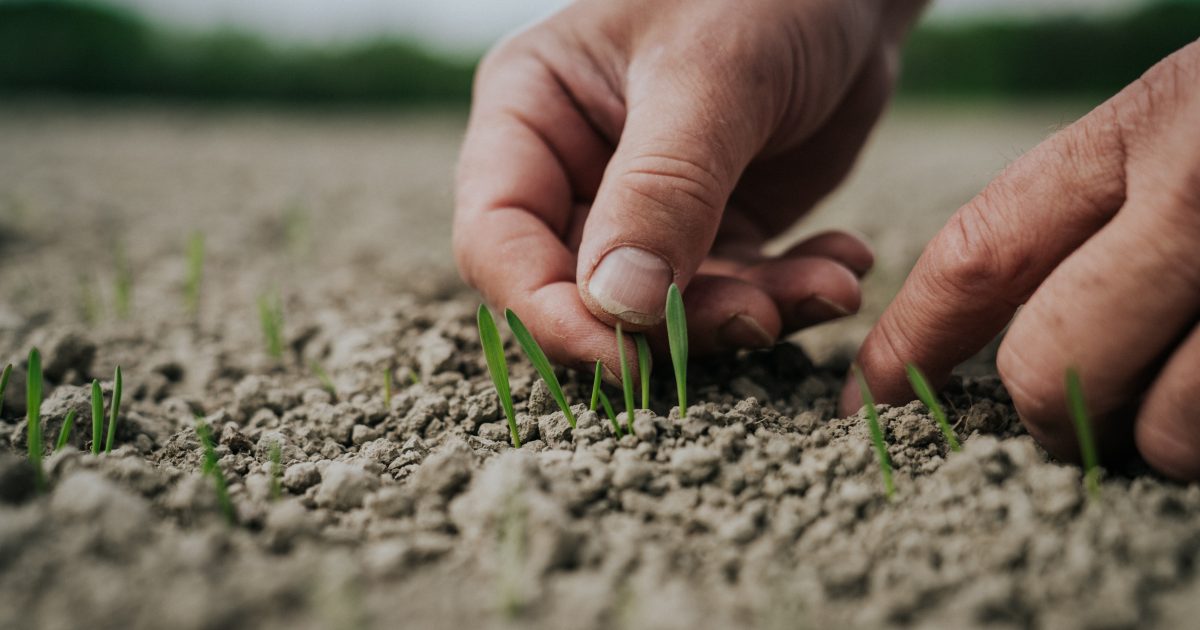 Norsk Landbruksrådgiving | Vi er her for å gjøre bonden bedre