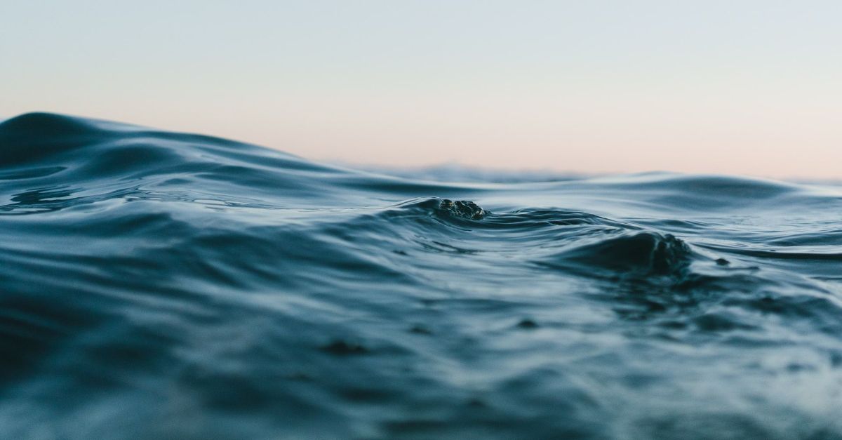 Utvikling av marin sektor | Nordmøre Fiskebåt AS