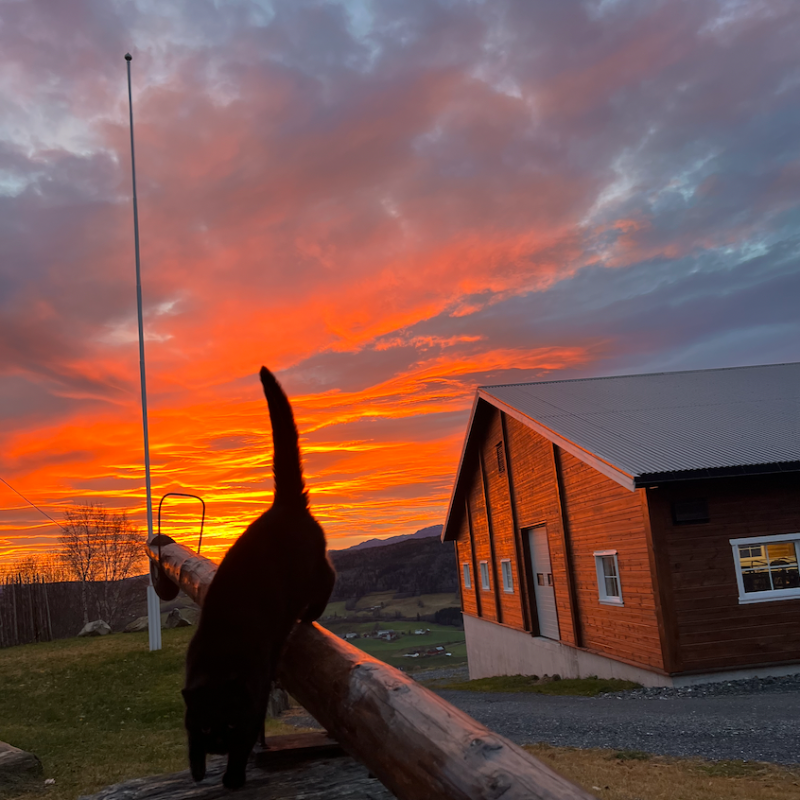 nordstusolberg - Link in Bio & Creator Tools | Beacons