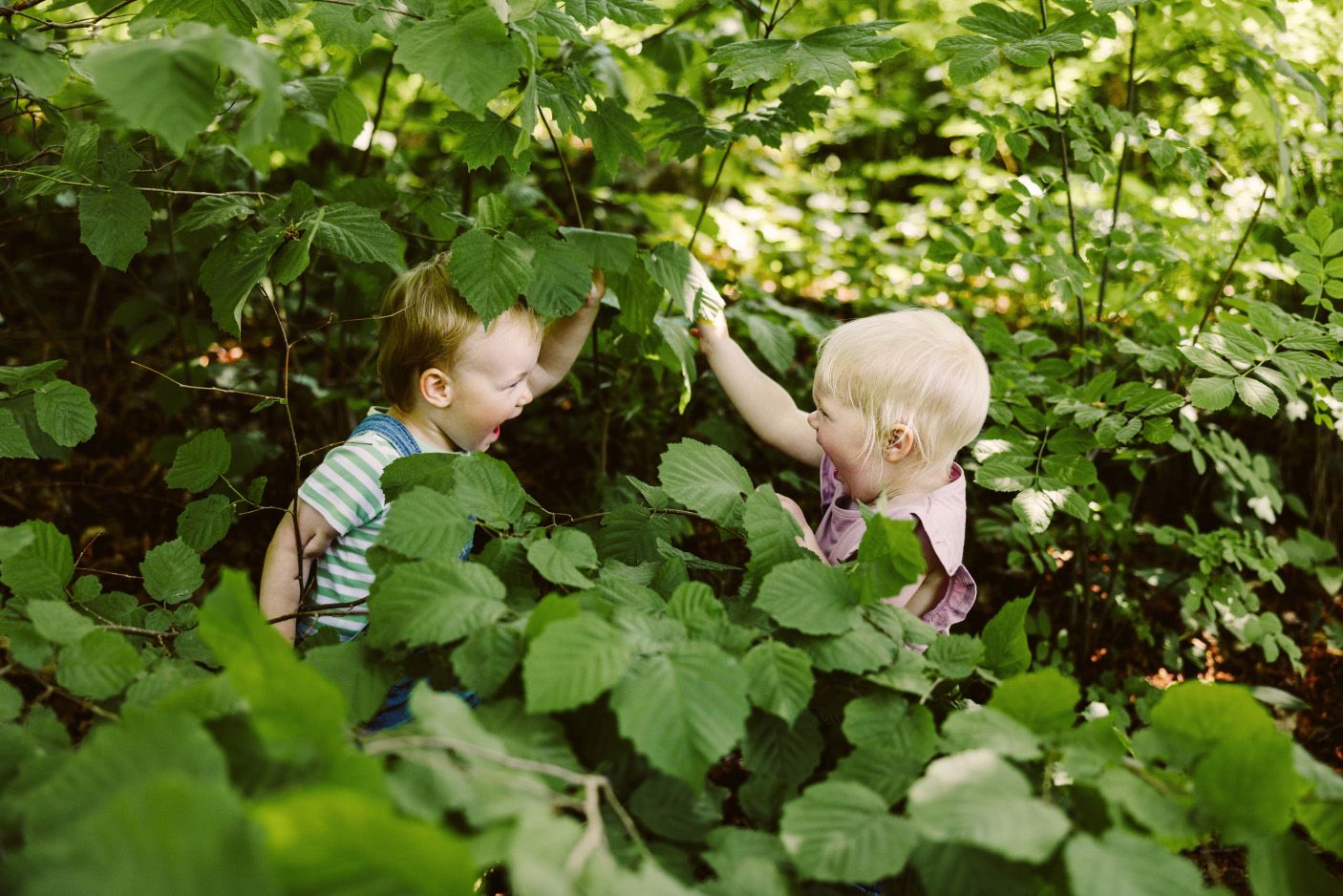 Norlandia Barnehagene