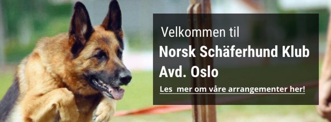 Norsk Schäferhund Klub, avd. Oslo
