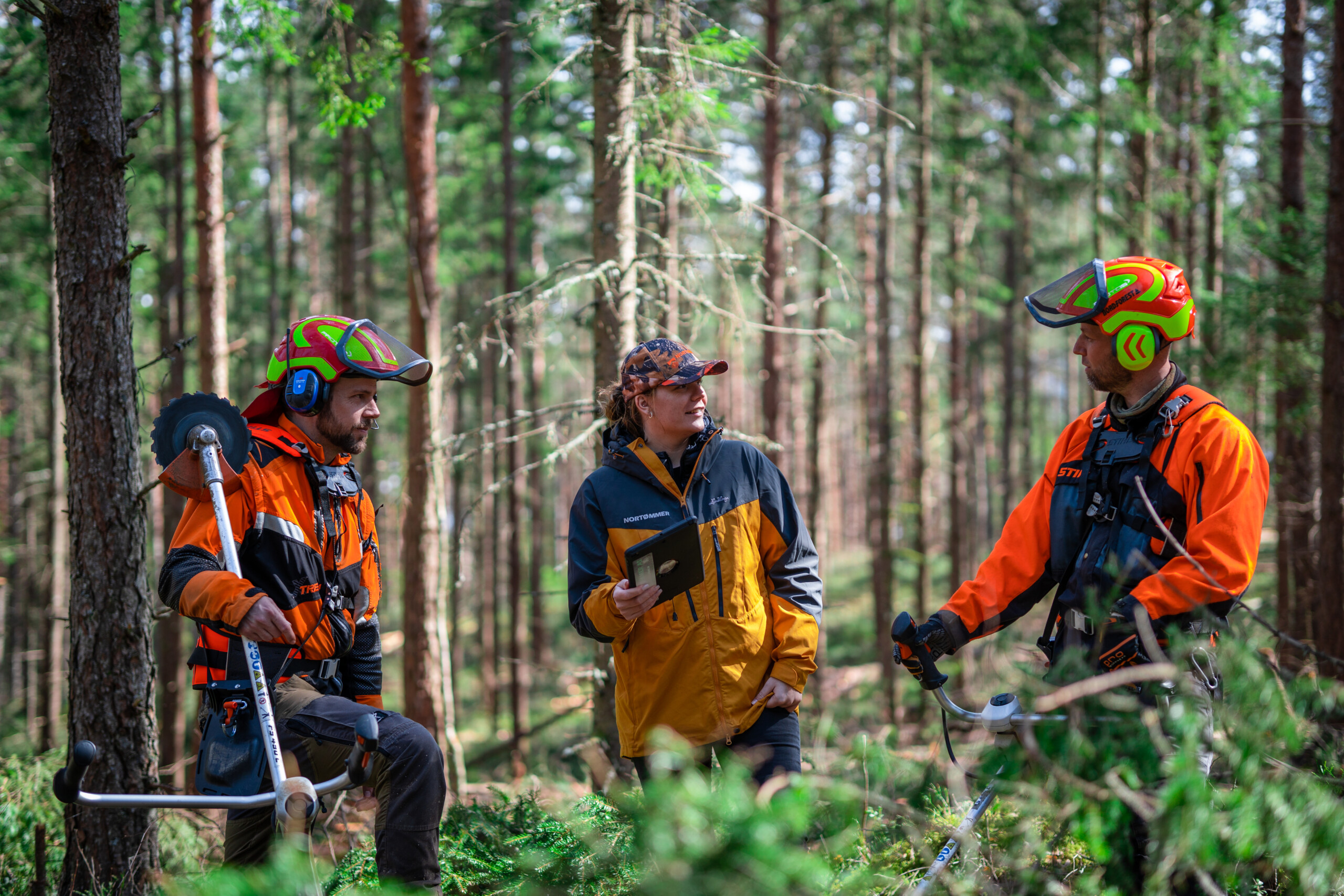 Nortømmer - Nortømmer