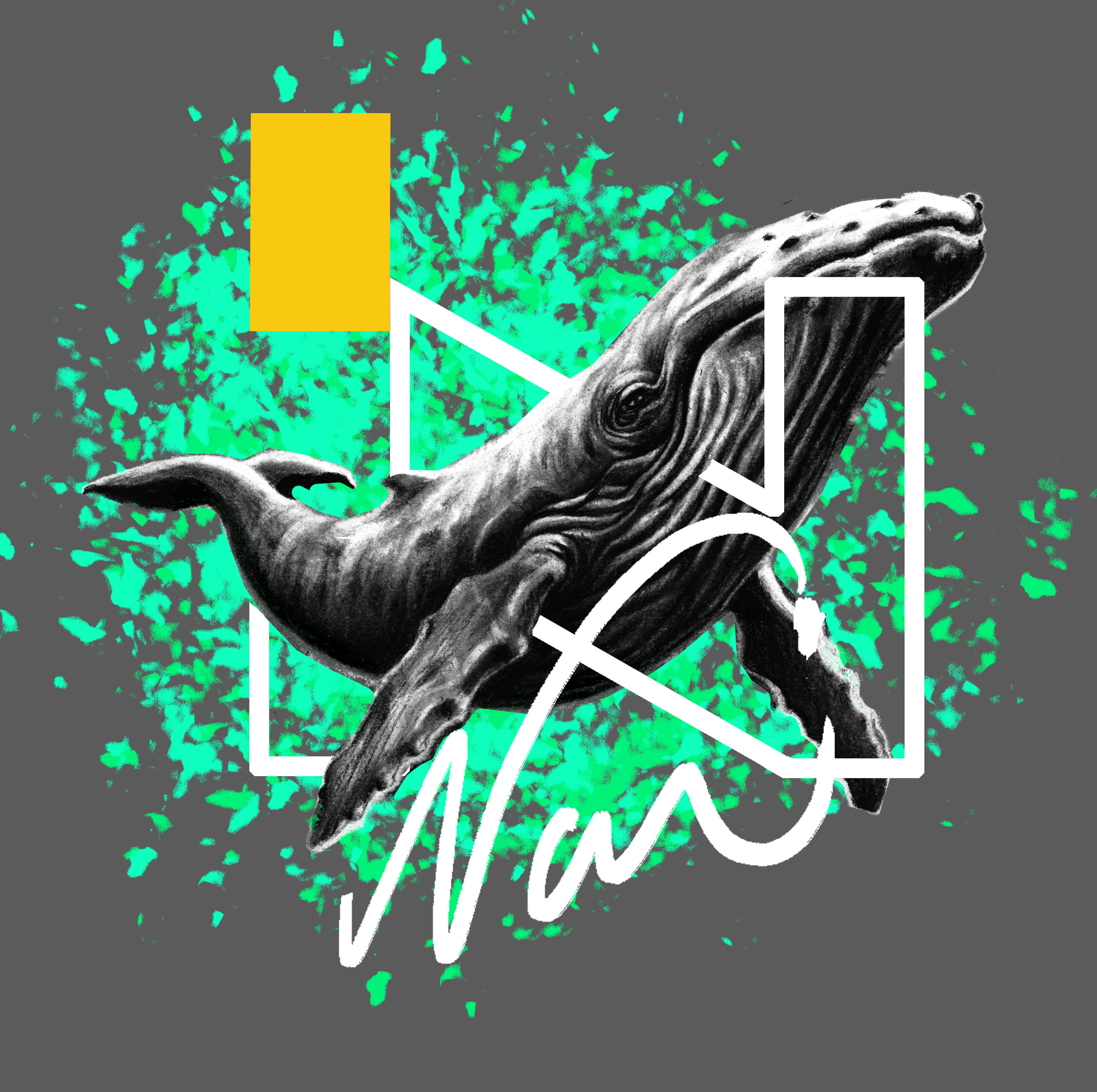Nouidestiny | Independant Artist