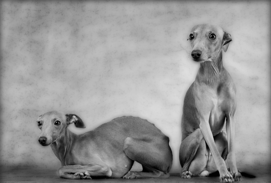 Nina Reistad Photography