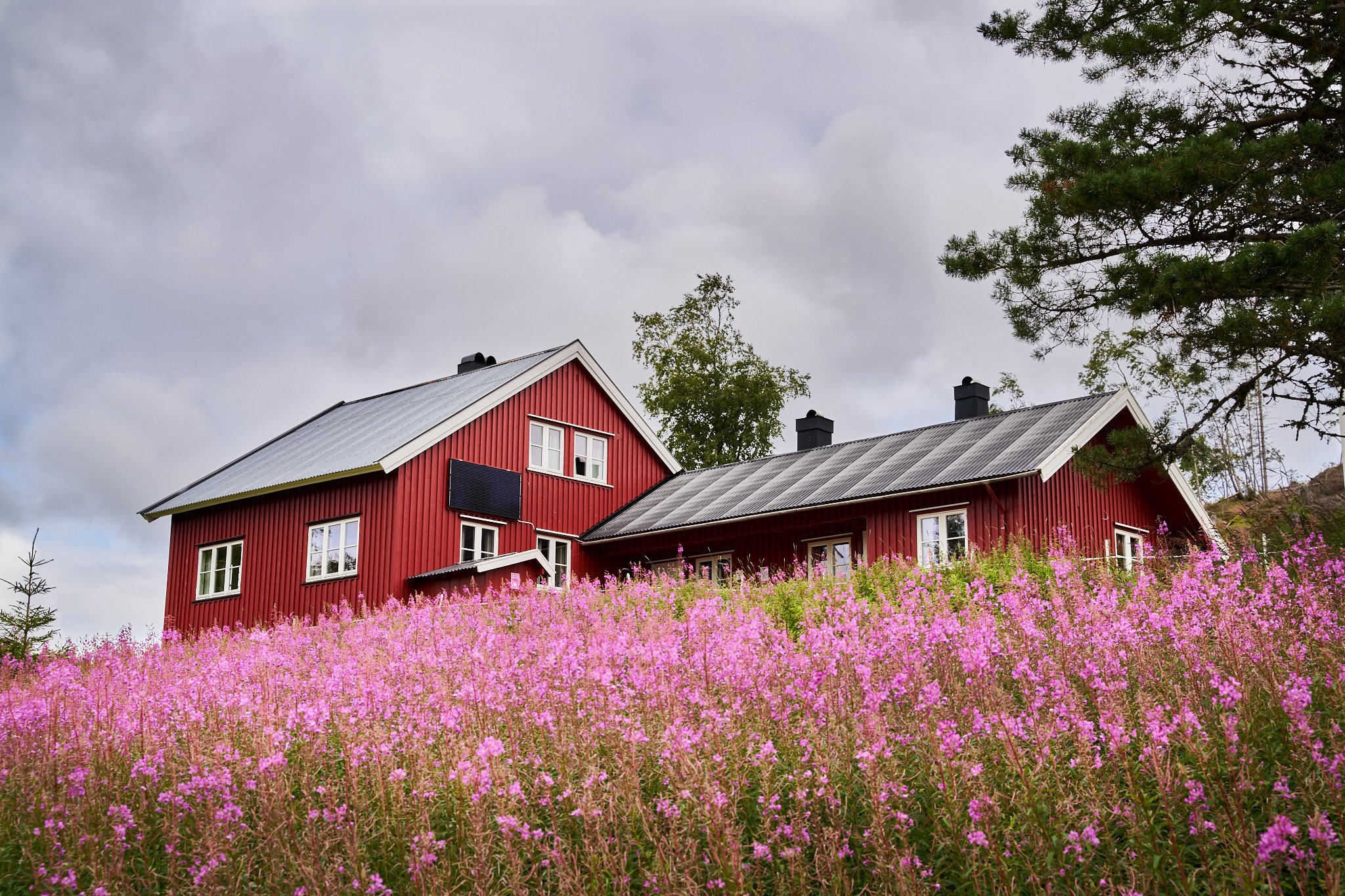Larvik og Omegns Turistforening - DNT