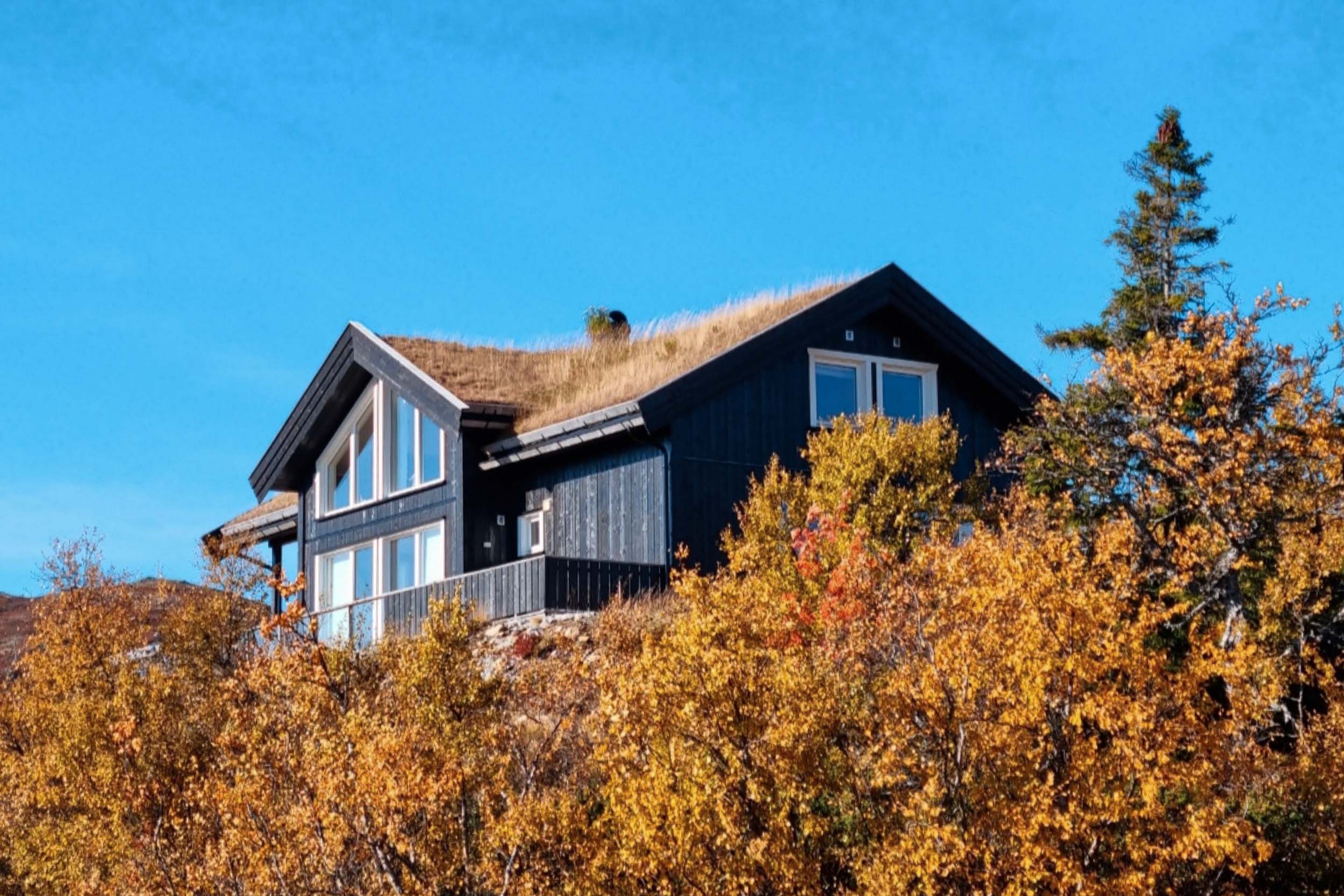 Numehytta - Lokalproduserte hytter og kortreist håndverk