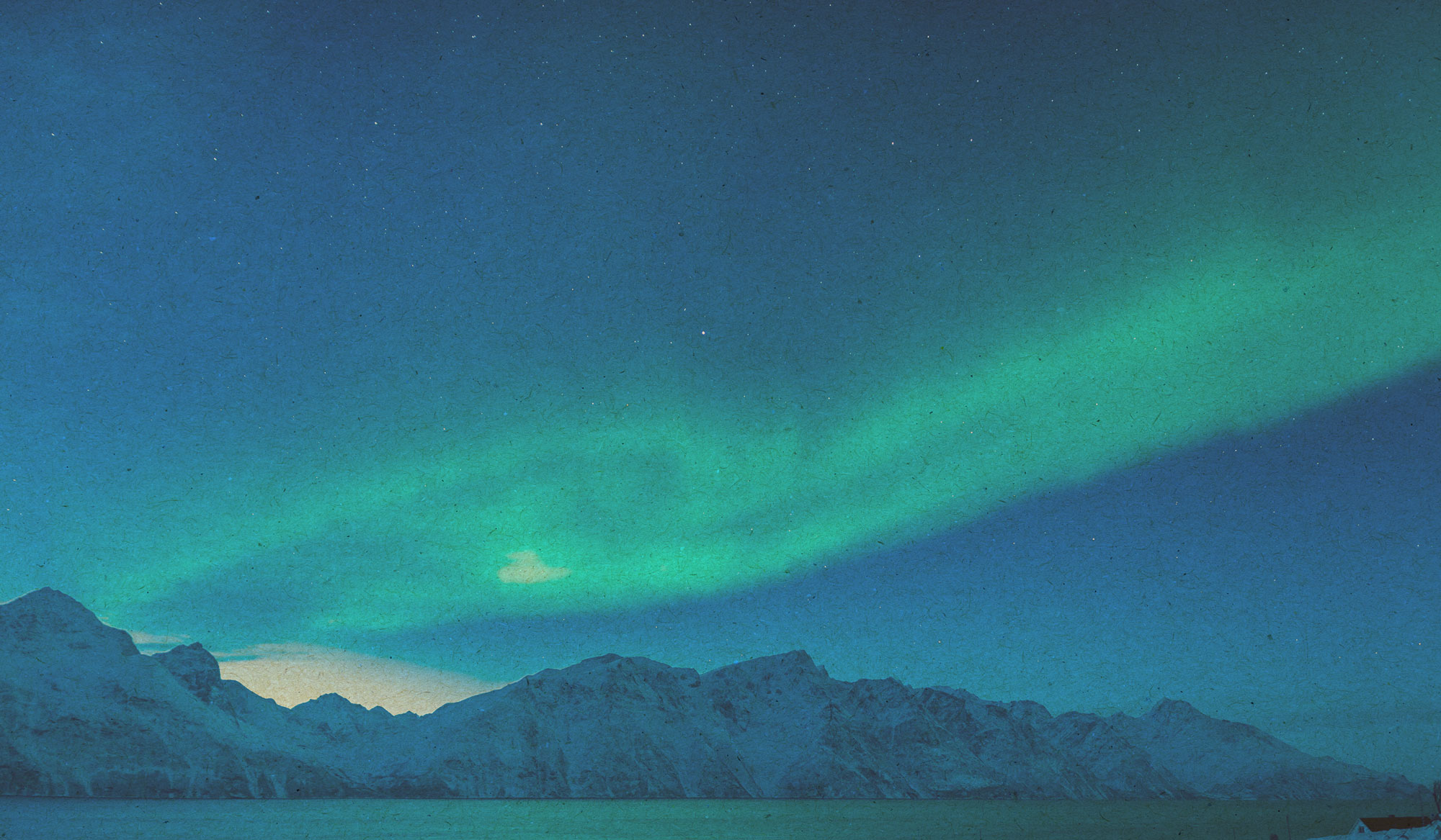 Home - Olvondo Technology