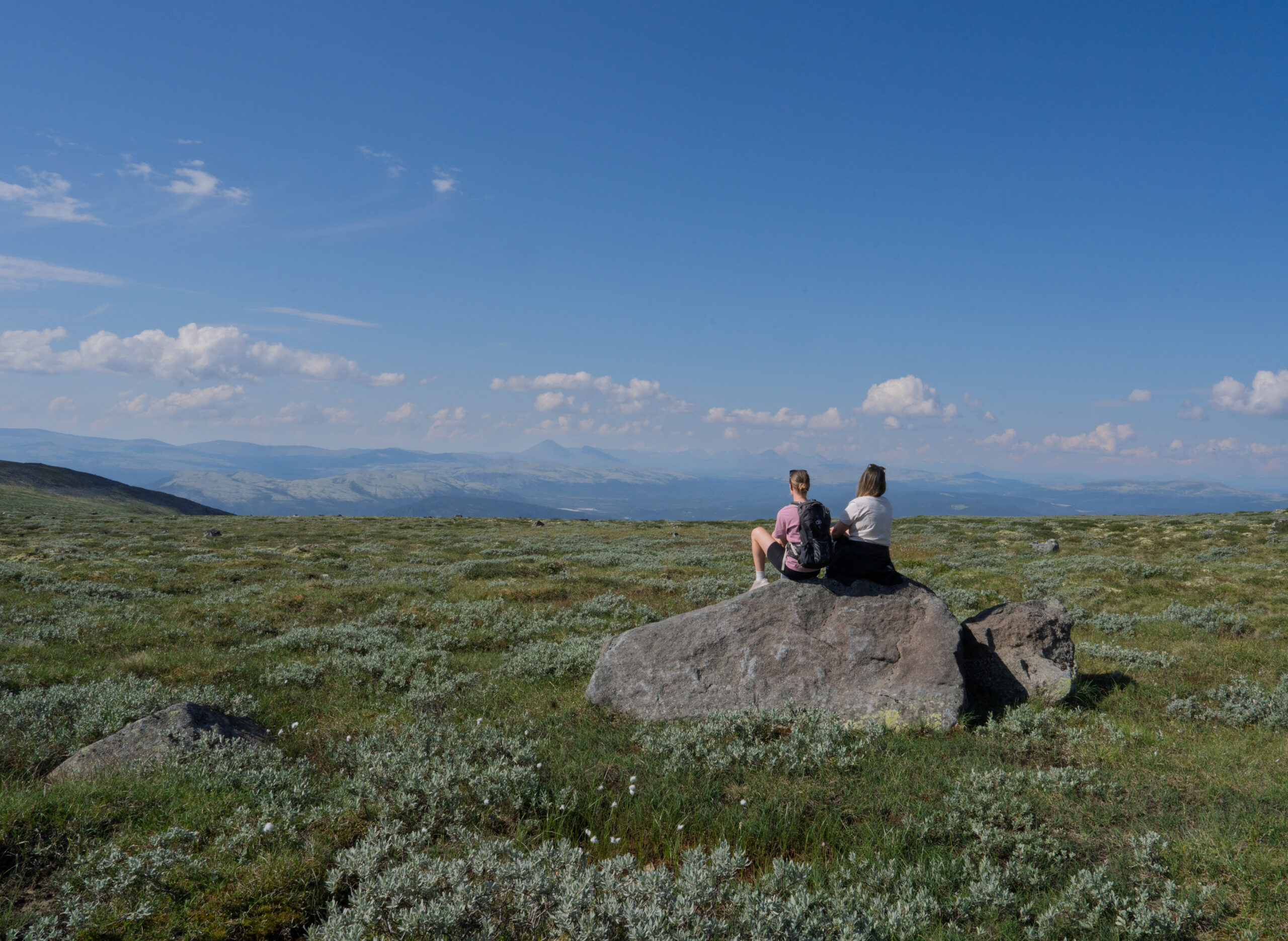 Forside - Opplev Alvdal