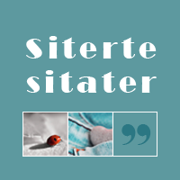 Siterte sitater