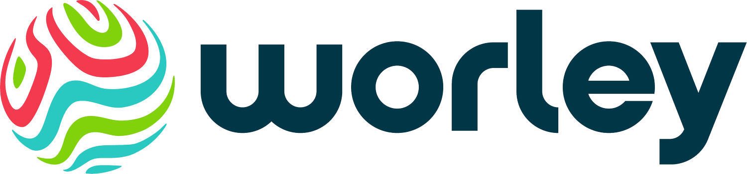 Worley Origo Process