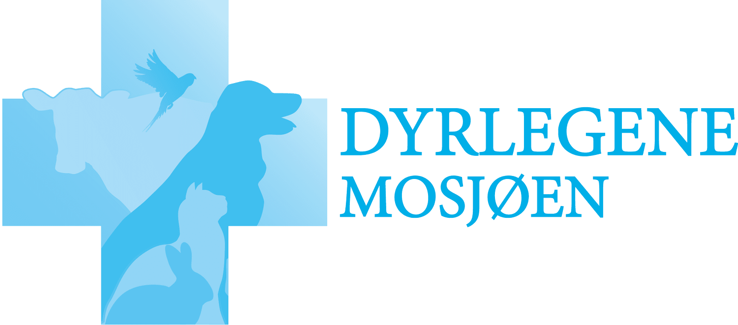 Dyrlegene Mosjøen