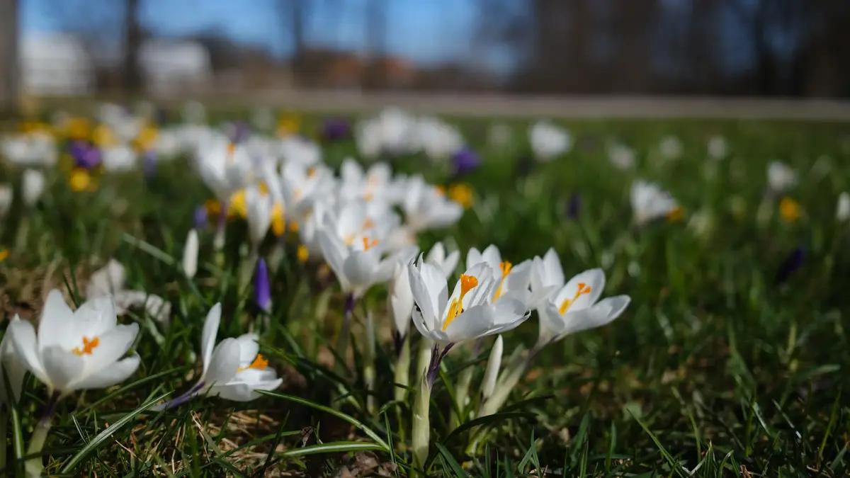 Velkommen til Østfoldmuseene
