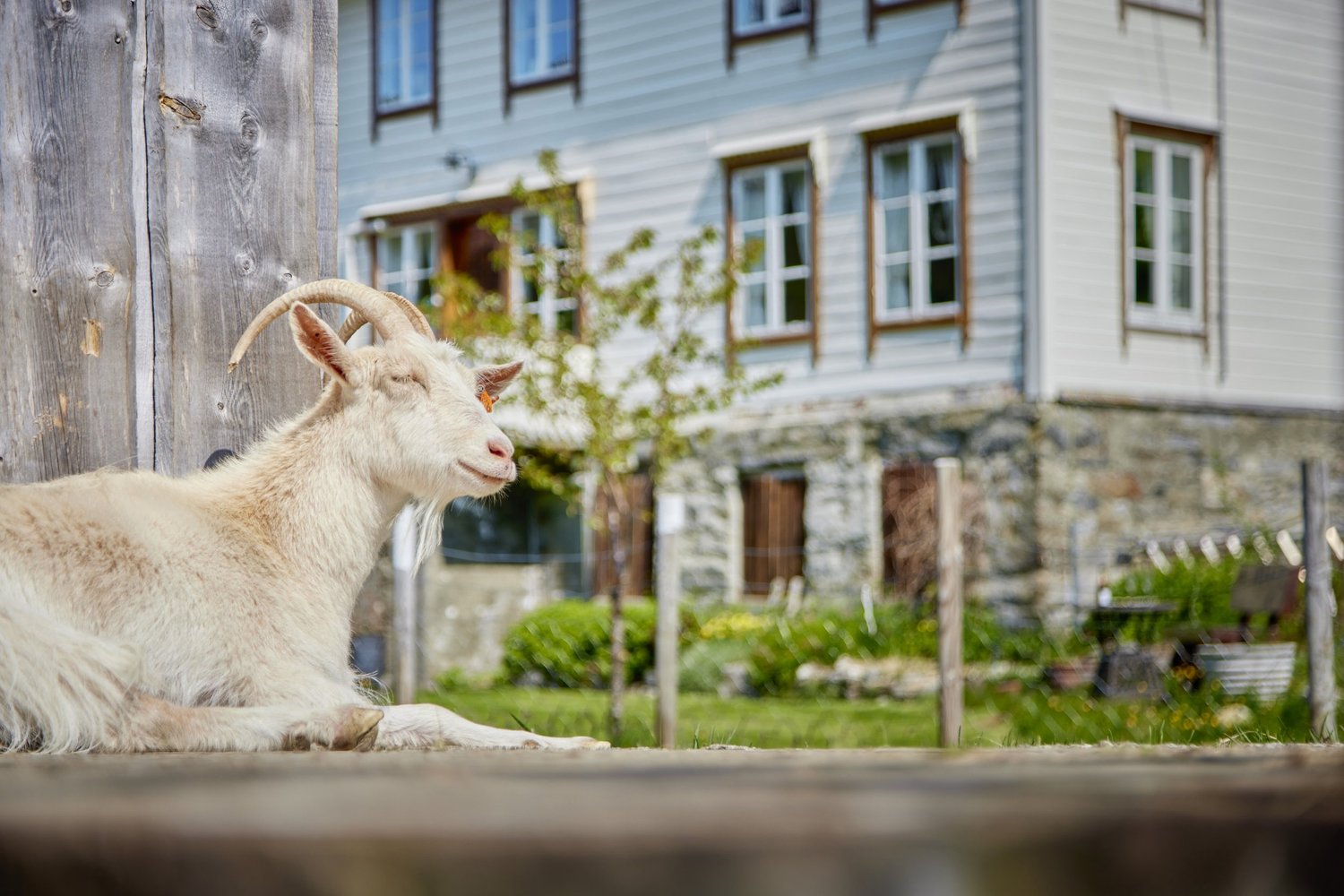 Overvoll Farm Retreat & Activity Centre