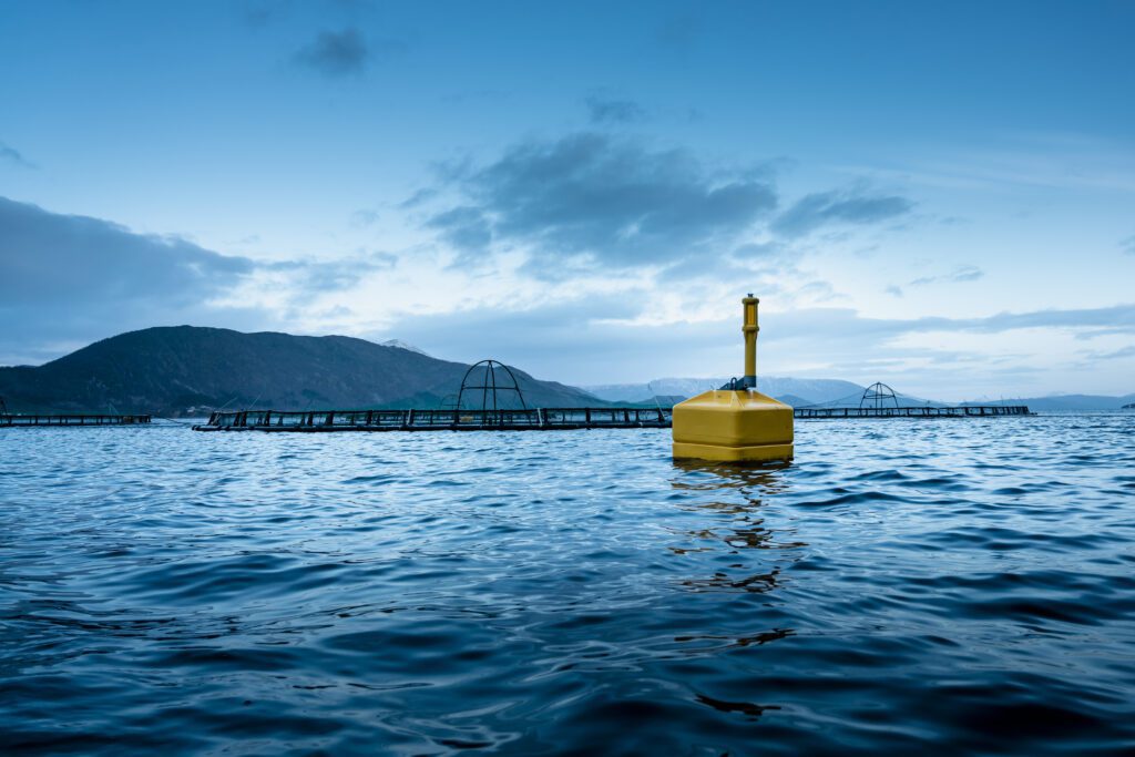 Ovun | Buoyancy & Plastic Moulding