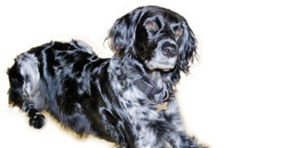 Forside | Øye revisjon