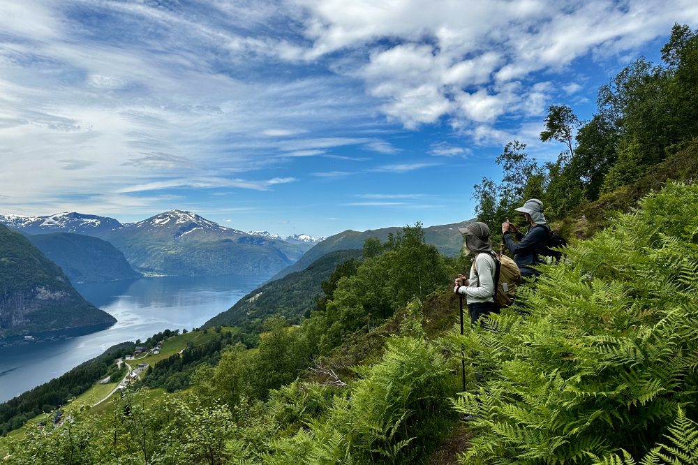 Ræin Adventures - Lokal guidebedrift på Sunnmøre