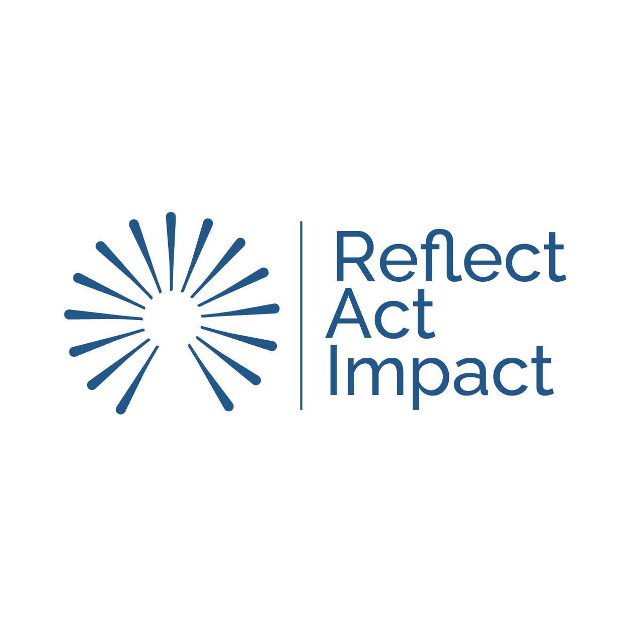 Executive Coaching | Reflect Act Impact