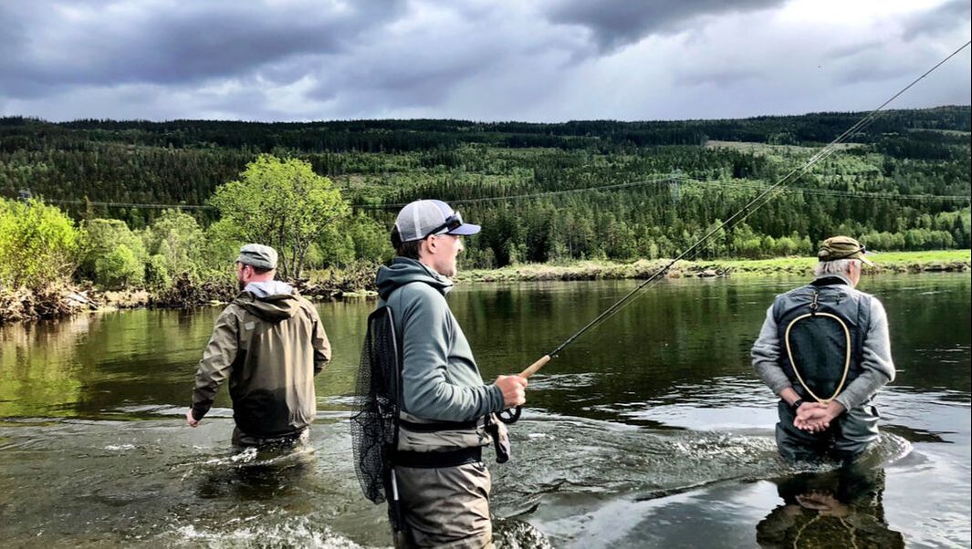 Scandinavia Tours - Reisegnister AS