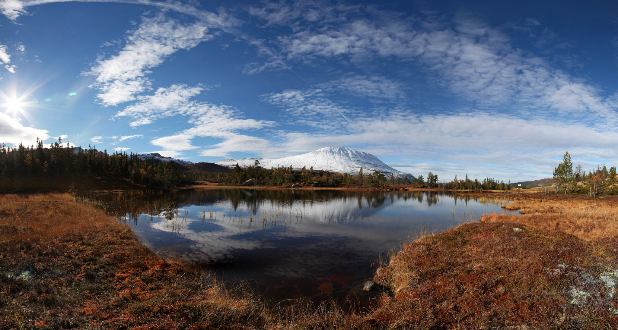 RevisorTeam | Forside