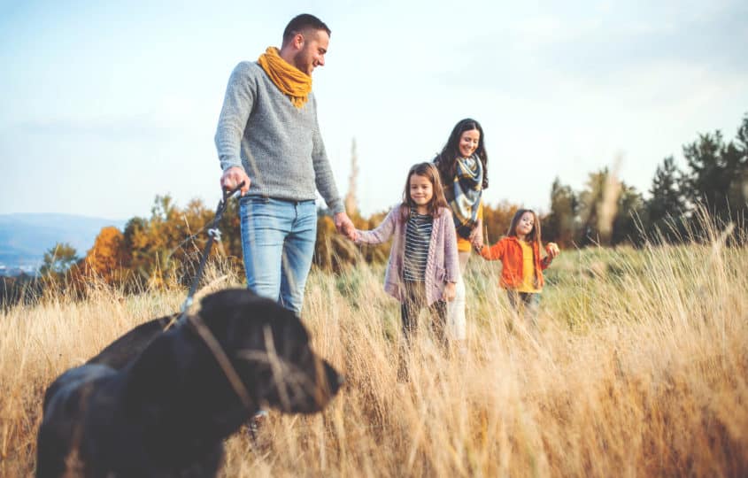 SørFosen revmatikerforening | Norsk Revmatikerforbund