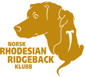 rhodesianridgeback.no