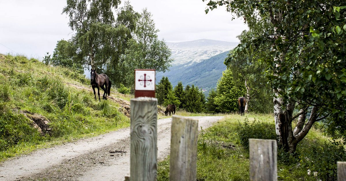 en reise som berører