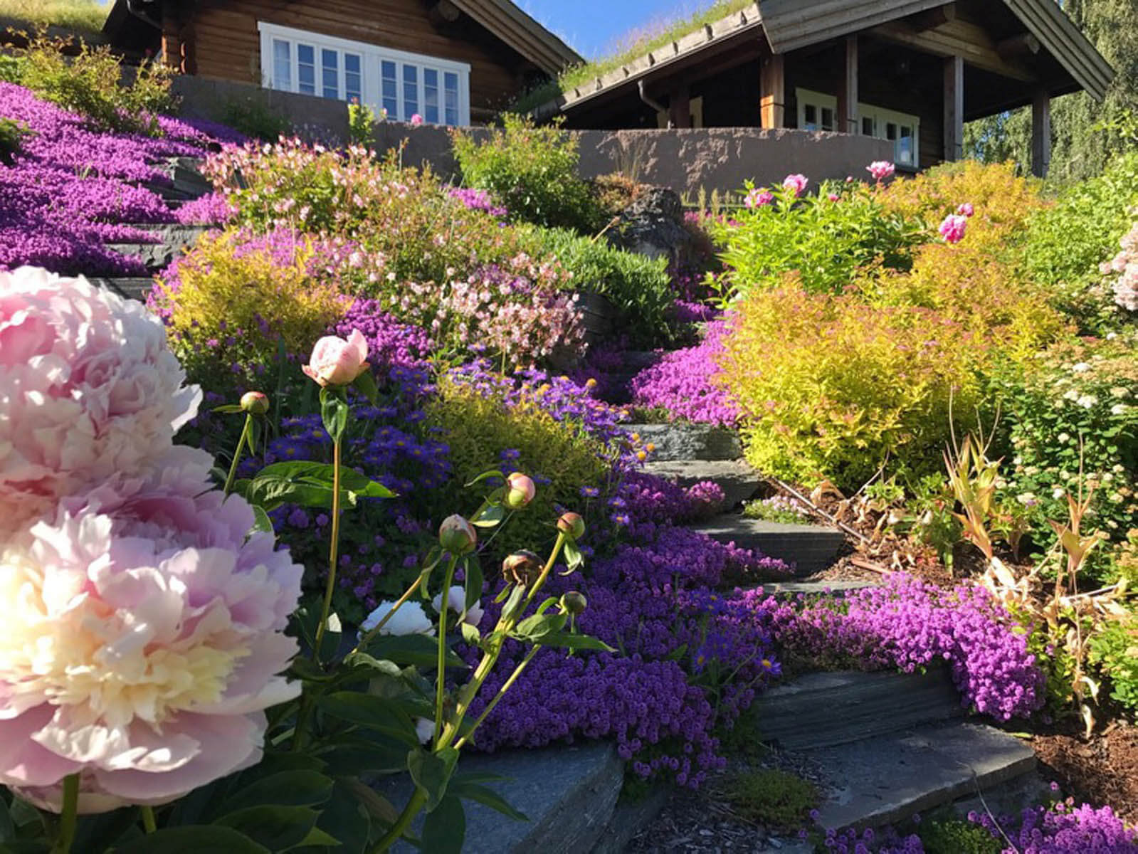 Ringerike HageserviceAS